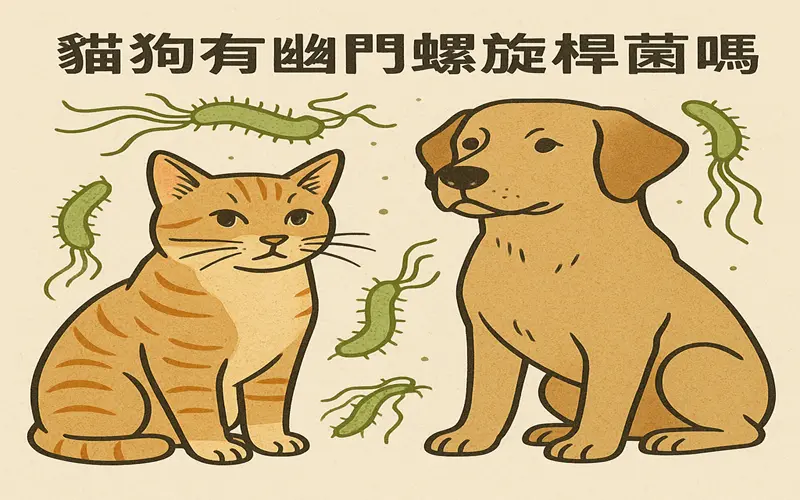 動物也有幽門螺旋桿菌嗎800-500