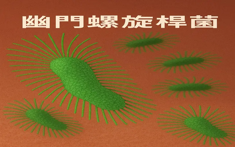 幽門螺旋桿菌(800-500)