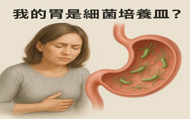 我的胃是細菌培養皿(800-500)