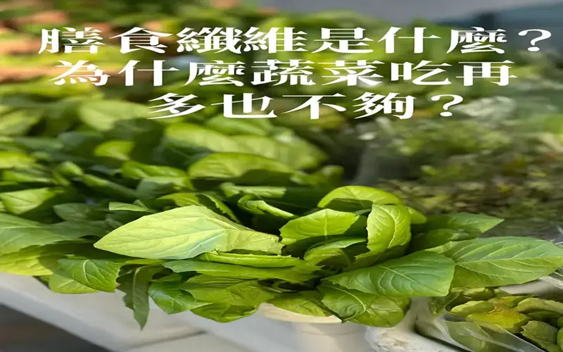 膳食纖維是什麼？為什麼蔬菜吃再多也不夠？ (1)