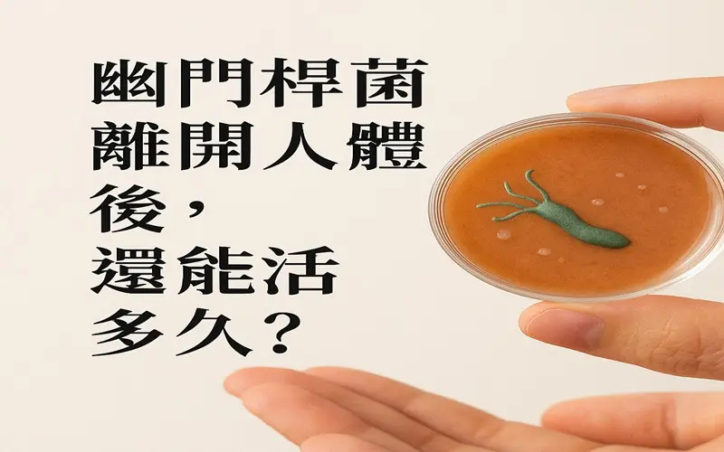 幽門桿菌離開人體後，還能活多久