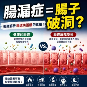 -腸 漏 症 是腸子破洞嗎？