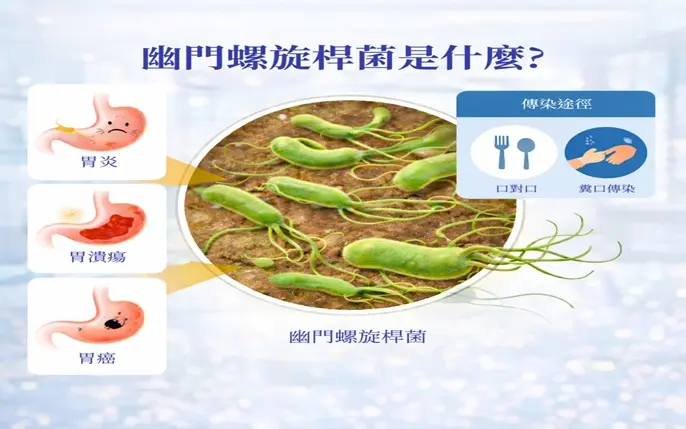 認識幽門螺旋桿菌1_0 (1)